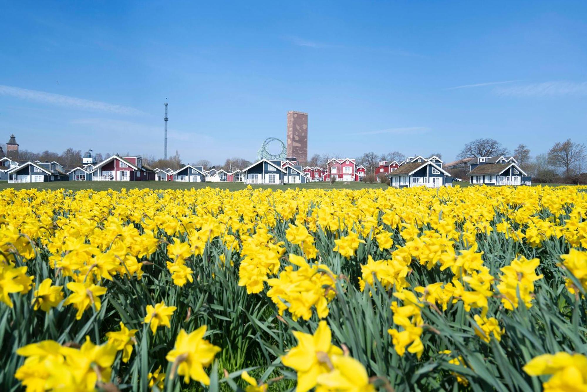 Strandpark Sierksdorf H092 "Ostsehblick" 外观 照片